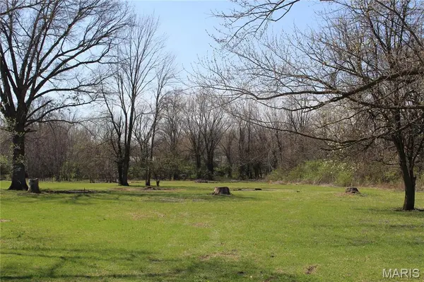 TBD Caroline AVE, Bellflower, MO 63333