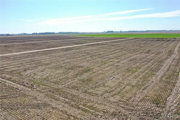 TBD Clay County Road 172, Success, AR 72470