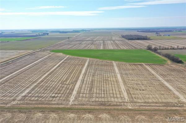 TBD Clay County Road 172, Success, AR 72470