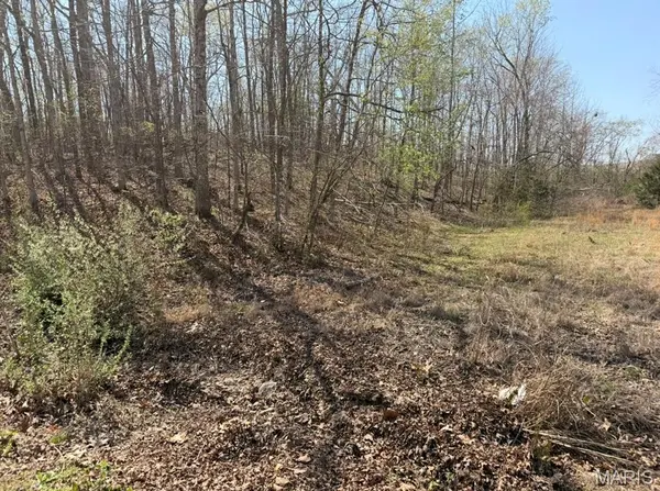 0 Woodland Hills RD, Poplar Bluff, MO 63901