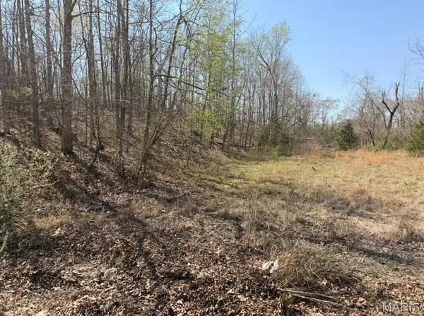 0 Woodland Hills RD, Poplar Bluff, MO 63901