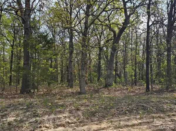 Tract D Golden Lane, Lebanon, MO 65536