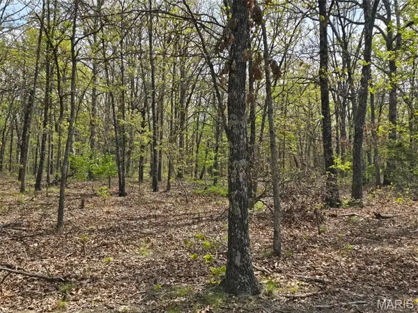 Tract N Greatview Lane, Lebanon, MO 65536