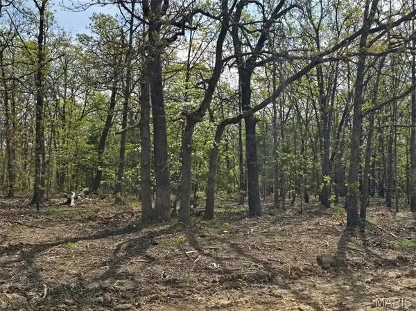 Tract G Golden Lane, Lebanon, MO 65536