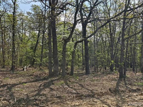 Tract G Golden Lane, Lebanon, MO 65536