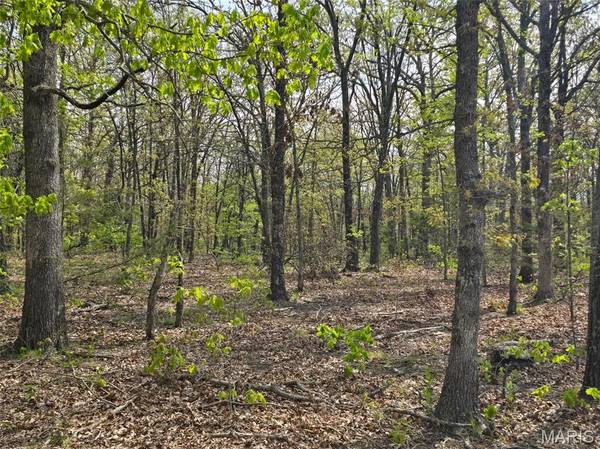 Tract G Golden Lane, Lebanon, MO 65536