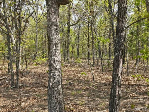 Tract L Greatview Lane, Lebanon, MO 65536