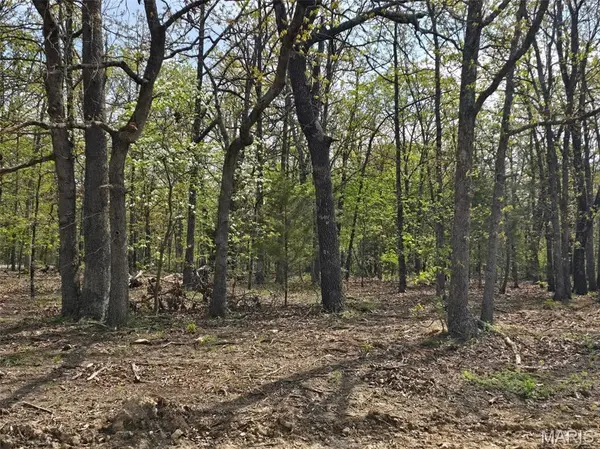 Tract R Greatview Lane, Lebanon, MO 65536