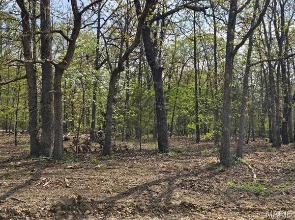 Tract R Greatview Lane, Lebanon, MO 65536