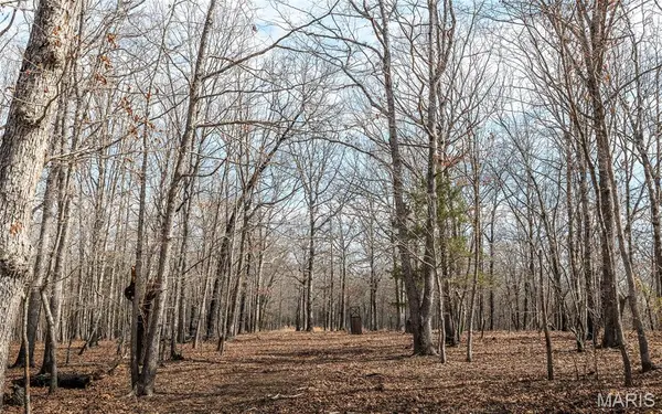 21500 County Road 7670, Newburg, MO 65550