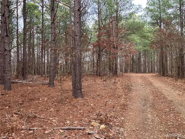 216 Madison CR 410, Fredericktown, MO 63645