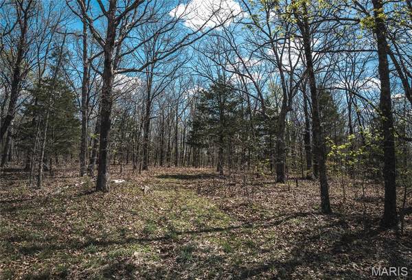 17 acres Cedar Ford RD, Steelville, MO 65565