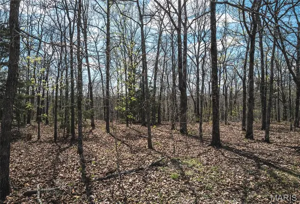 17 acres Cedar Ford RD, Steelville, MO 65565