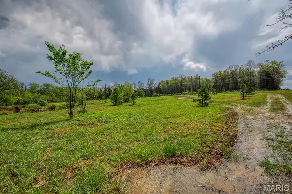 1000 Walnut ST, Licking, MO 65542