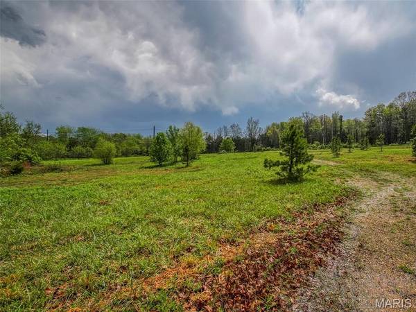 1000 Walnut ST, Licking, MO 65542