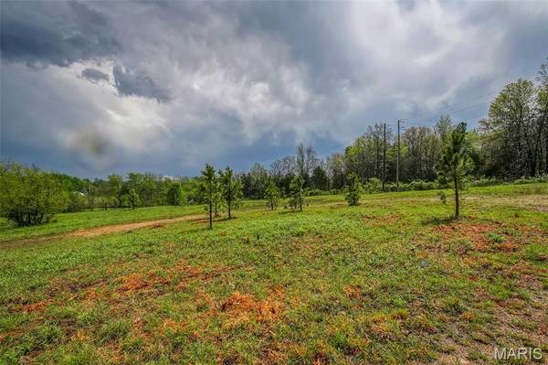 1000 Walnut ST, Licking, MO 65542