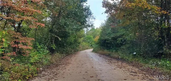 0000 Wayne 220 b, Silva, MO 63964