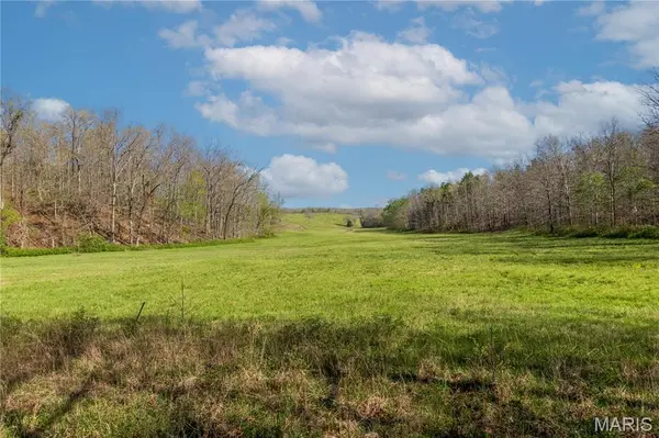 0 County Road 584, Piedmont, MO 63957
