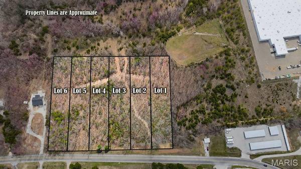 Lot #3 Clarke ST, De Soto, MO 63020