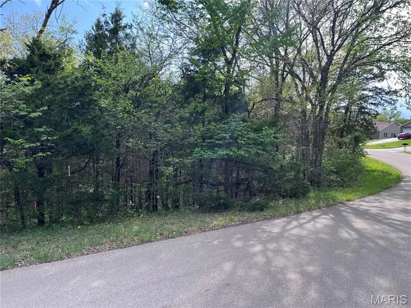 0 Napoleon DR, Bonne Terre, MO 63628