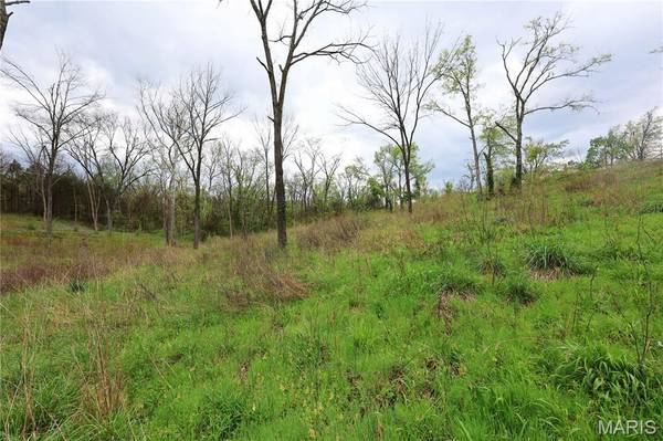 Lot 12,13,14 Dorothy Dr, Perryville, MO 63775