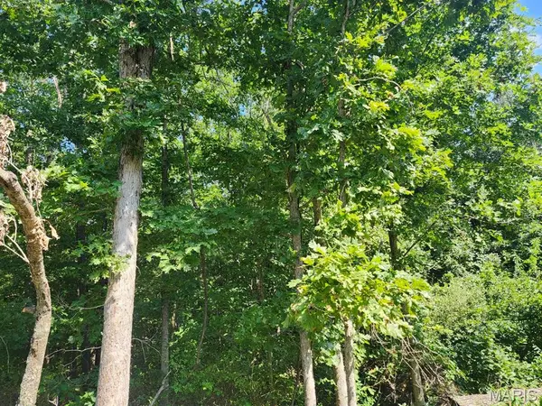 000 M- Girlstown RD, Mountain Grove, MO 65711