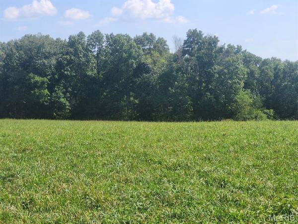 000 M- Girlstown RD, Mountain Grove, MO 65711