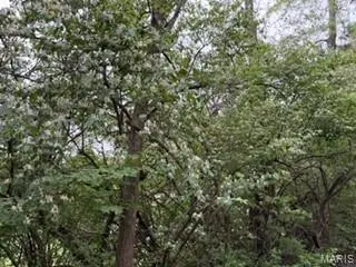 3524 Scenic Circle DR, St Louis, MO 63129