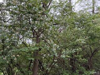 3524 Scenic Circle DR, St Louis, MO 63129