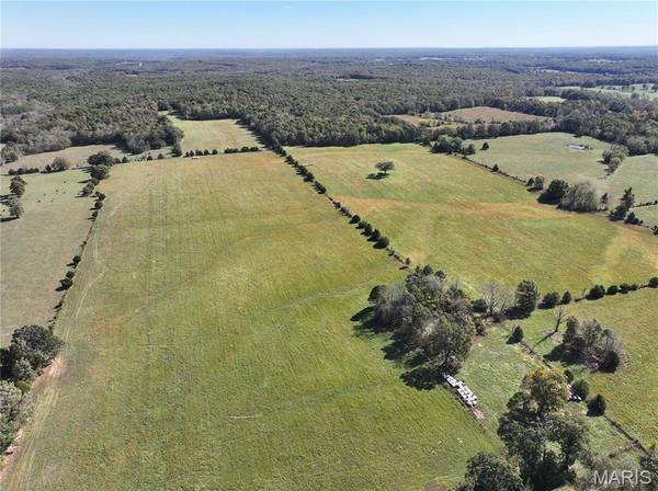 Tract 2 State Hwy Dd, Glen Allen, MO 63655