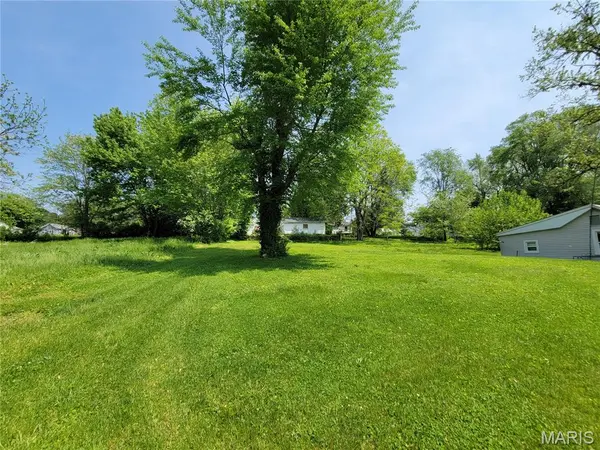 1013 Texas ST, Louisiana, MO 63353