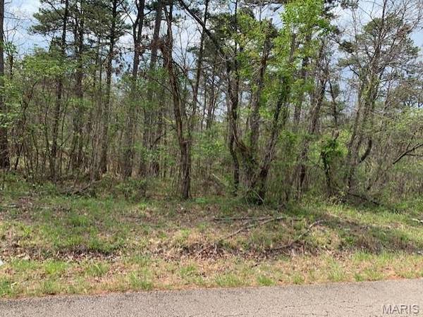 0 County Rd 229, Fredericktown, MO 63645