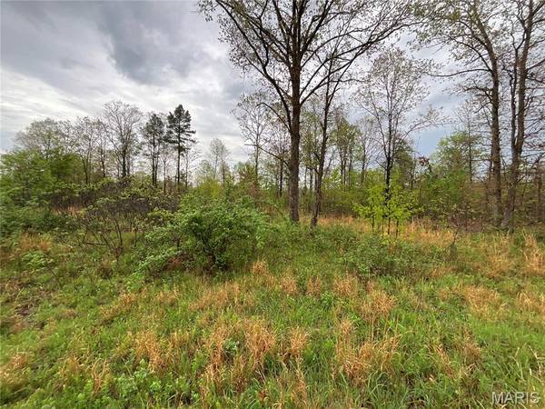 Lot #9 Lake Way, Winona, MO 65588