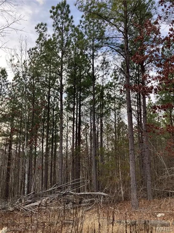 217 Madison CR 410, Fredericktown, MO 63645