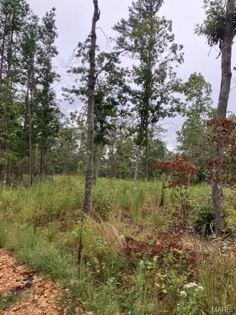 119C Madison CR 410, Fredericktown, MO 63645