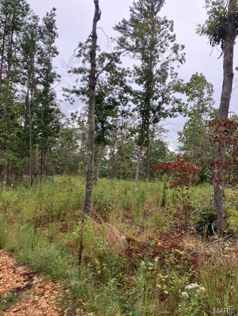 119C Madison CR 410, Fredericktown, MO 63645