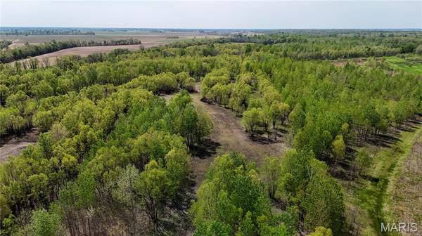 0 County Road 513, Senath, MO 63876