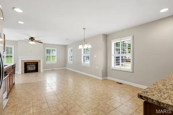 728 Marshall AVE, St Louis, MO 63119