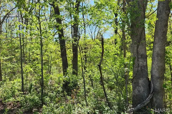 3906 Red Bud DR, Catawissa, MO 63015