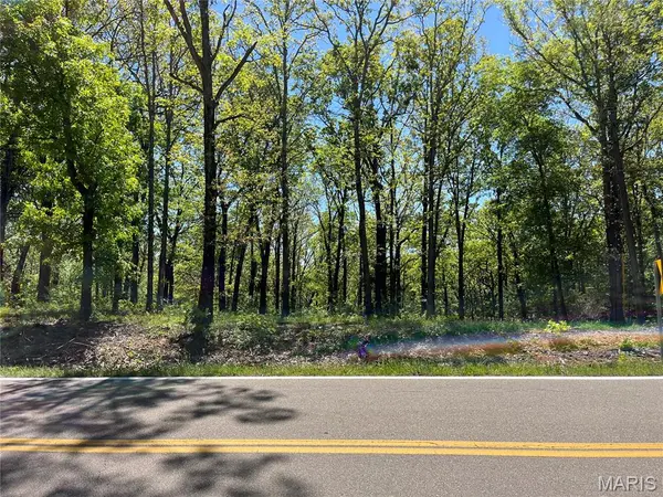 TBD Lobo DR, Festus, MO 63028