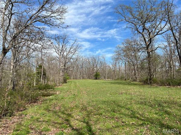 24755 MAYAPPLE LN, Lebanon, MO 65536