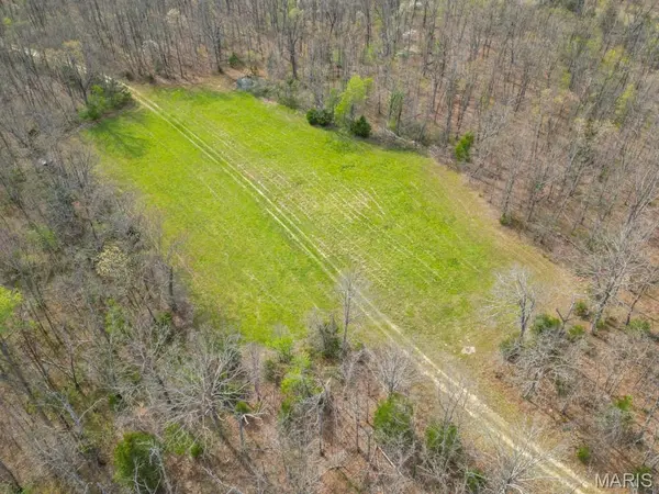 24755 MAYAPPLE LN, Lebanon, MO 65536