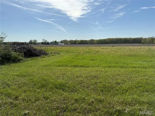 TBD Fellin DR, Mount Olive, IL 62069