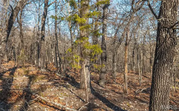 83 Minx Valley DR, Roach, MO 64781