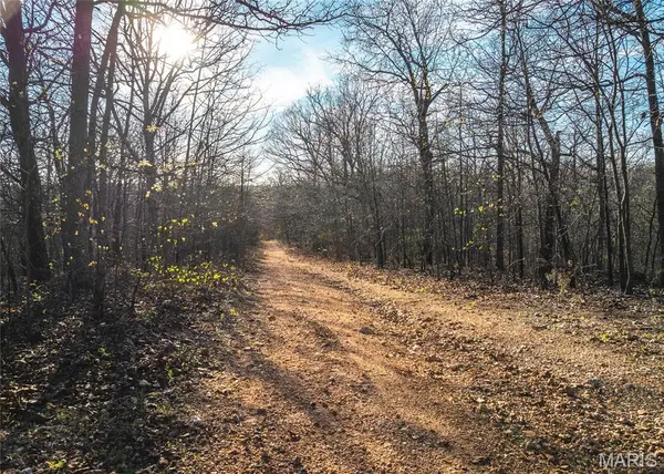 83 Minx Valley DR, Roach, MO 64781