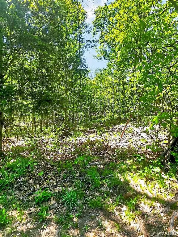 12971 Cowboy DR, De Soto, MO 63020