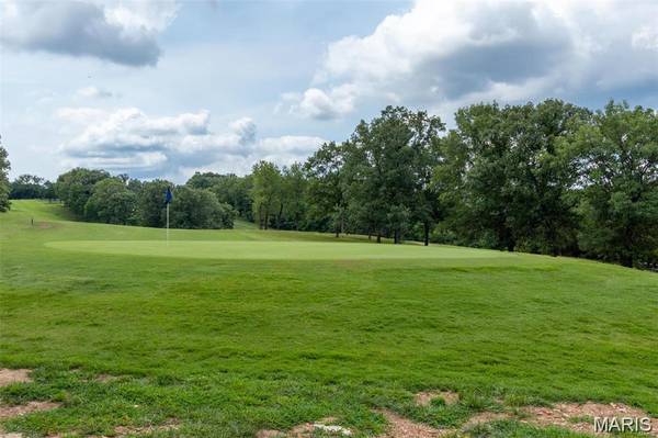 10229 Belew Creek DR, Hillsboro, MO 63050