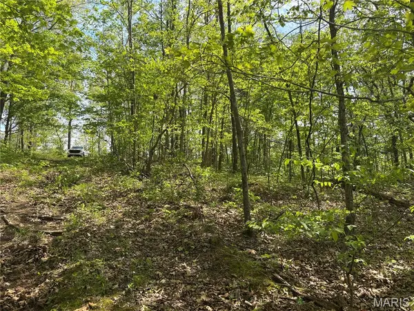 Lot 120, 123 -127 Rocky Ln, Perryville, MO 63775