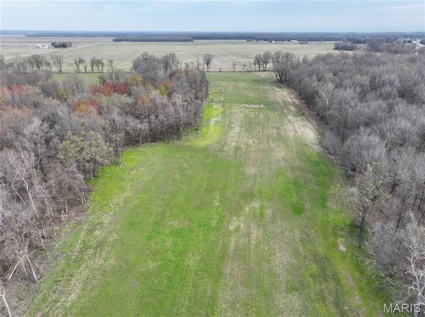 Off US Hwy 67, Neelyville, MO 63954