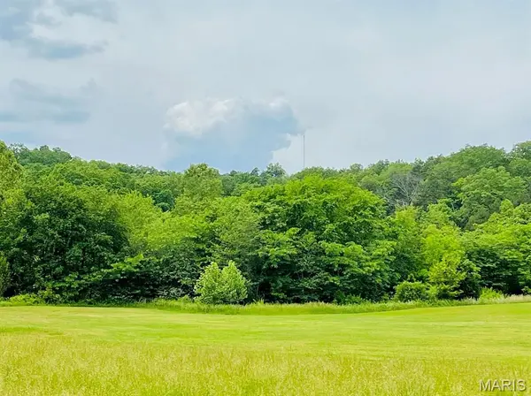 0 Deer Run Plat 12 Lot 18, Van Buren, MO 63965
